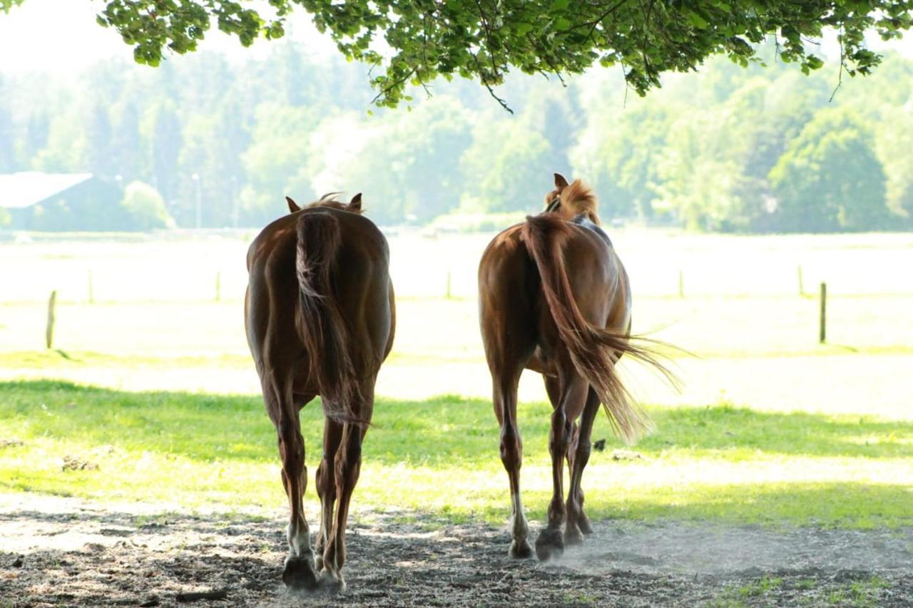 Boerderij De Enkhoeve Laag-Soeren Экстерьер фото